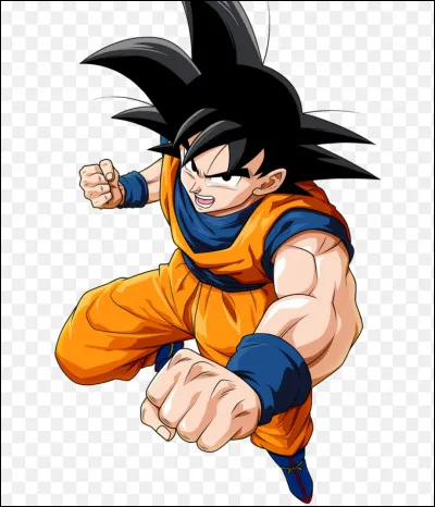 Qui est le père de Goku ?