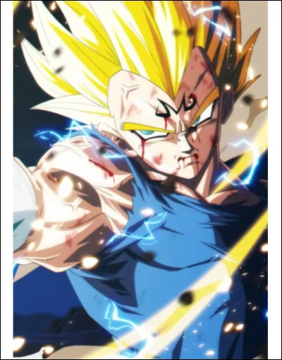 Qui est la femme de Vegeta ?