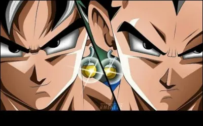 Comment s'appelle la fusion de Goku et Vegeta (Potalas) ?