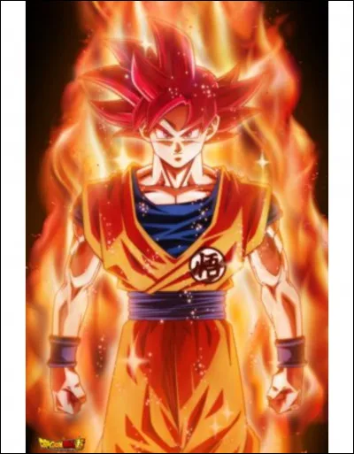 Comment Goku a-t-il eu le Super Saiyan God ?