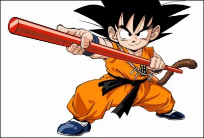 Qui a donné le bâton magique à Goku ?