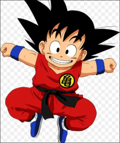 Au début de Dragon Ball, quel âge avait Goku ?