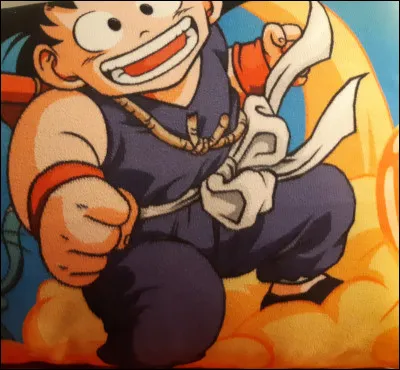Qui a donné le nuage magique à Goku ?