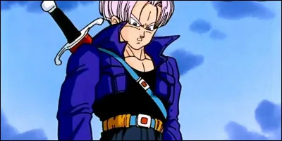 Qu'est-ce que Trunks avait donné à Goku pour qu'il résiste à sa maladie ?