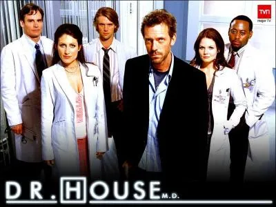 Quel docteur, meilleur ami de docteur House, l'aide dans n'importe quel situation ?