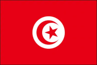 Quel pays est représenté par ce drapeau ?