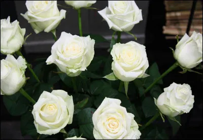 Qui est le seul personnage de fiction à avoir une rose à son nom ? (indice en image)