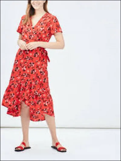 De quelle couleur est principalement cette robe ?