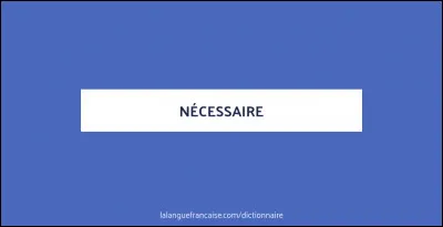 Cet homme a fourni le nécessaire.