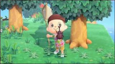 Quels insectes valent le plus cher ?