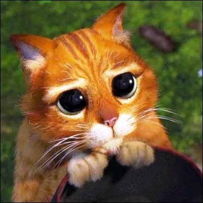 Quel acteur f&eacute;tiche de Pedro Almodovar, qui a entre autres jou&eacute; dans "Douleur et gloire", est &eacute;galement la voix du Chat Pott&eacute; ?