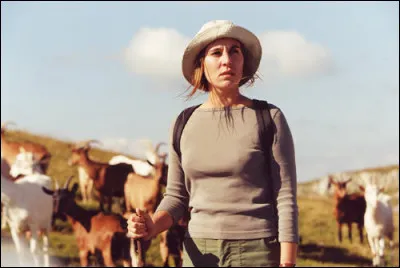 Avec quel acteur Mathilde Seigner partage-t-elle l'affiche dans "Une hirondelle a fait le printemps" (2001) ?