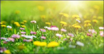 Lequel de ces artistes a interprété le titre "Au printemps" dans les années 50 ?