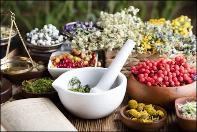 Par quel mot désigne-t-on la pseudoscience qui consiste à soigner par le biais des plantes ?