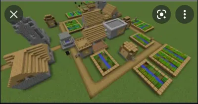 Si tu es dans un village, que fais-tu ?