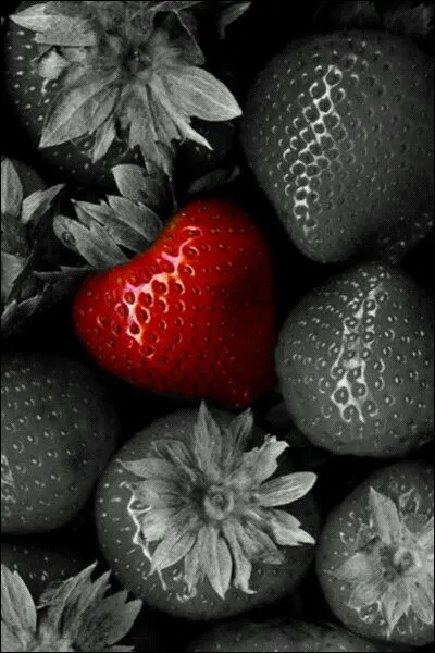 Comment &eacute;tait ce fruit dans le titre du roman d'Esa Triolet ?