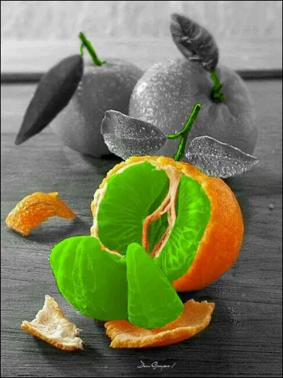 C'est l'histoire d'une petite mandarine qui ne sait comment dire &agrave; sa m&egrave;re qu'elle est tomb&eacute;e enceinte ! Aidez-la !