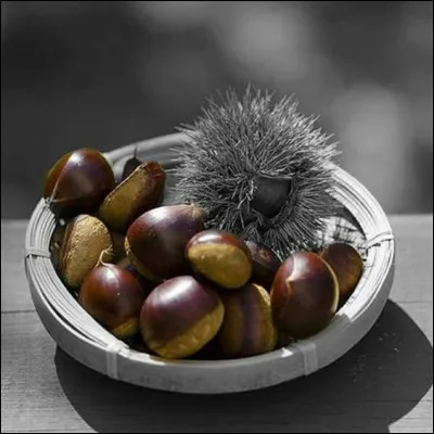 Dans une c&eacute;l&egrave;bre fable de La Fontaine, qui tirait ces fruits du feu ?