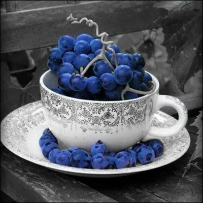 Ces fruits-l&agrave; sont de la col&egrave;re ! Qui est l'auteur de ce livre ?