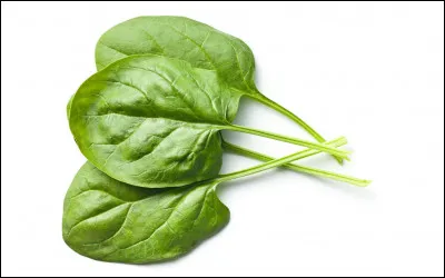 Est-ce une couleur chaude ou froide ?