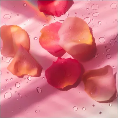 Est-ce une couleur chaude ou froide ?