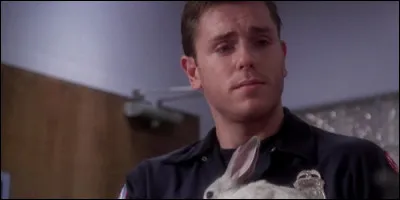 Avec quelle infirmière l'ambulancier Ray Sheppard a-t-il une relation amoureuse ?