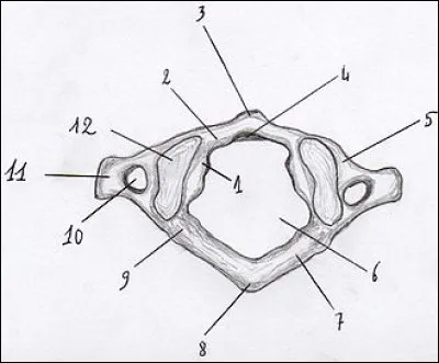 Jeu de cartes, c'est l'...