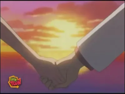 Si tu voulais te marier avec quelquun, ce serait