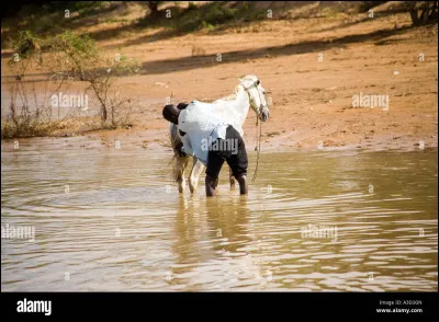 Le ... du fleuve est...