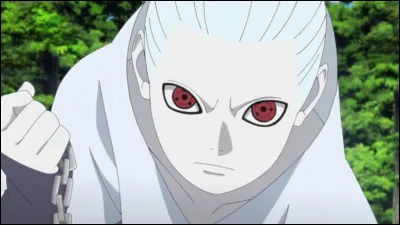 Qui a voulu faire renaître l'Akatsuki ? (Dans Boruto)
