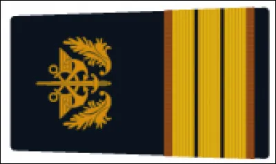 Quel est le nom du grade correspondant à l'image ?