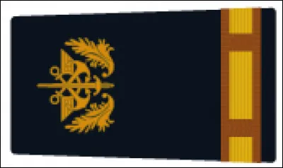 Quel est le nom du grade correspondant à l'image ?