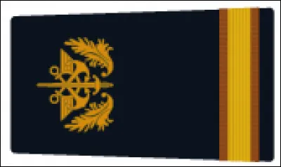 Quel est le nom du grade correspondant à l'image ?