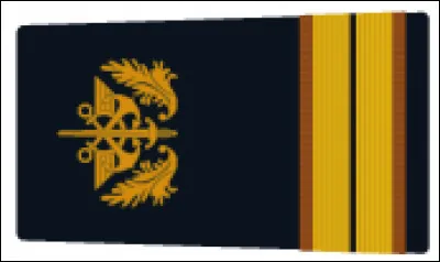 Quel est le nom du grade correspondant à l'image ?