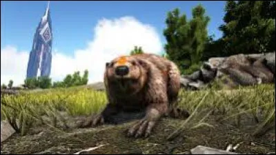 À quoi sert le castor dans le jeu ?