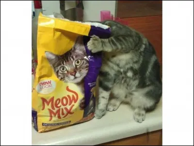 Et enfin, as-tu aimé ce test ? 
(La réponse ne compte pas dans le résultat final.)