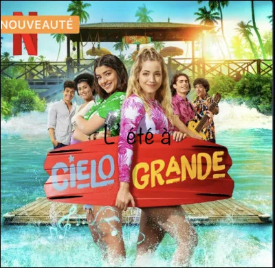 Ta série Netflix préférée est :