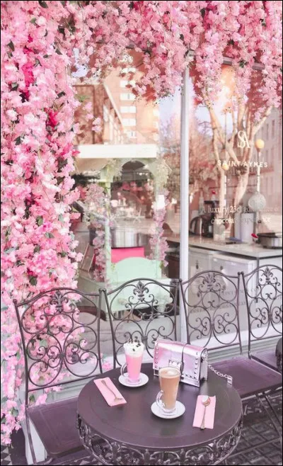 Dans quel département se situe la ville de Saint-Pois ?