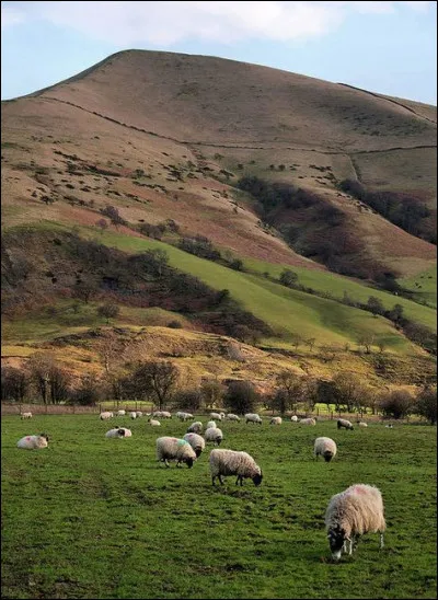 Dans quel pays les éditions Mouton ont-elles été créées ?