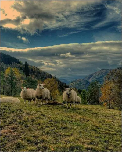 Dans quel jeu les enfants doivent-ils passer au-dessus de leurs camarades ?