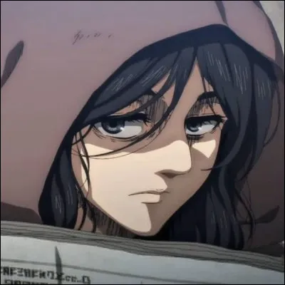 Dans SNK, le possesseur du Titan charrette s'appelle Pieck Finter.