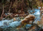 Test Qui es-tu dans ''Tomek, la rivi�re � l'envers'' ?