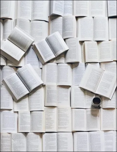 Duquel de ces pays possédait-il également un passeport ?