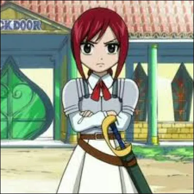 Qui a donné un nom de famille à Erza ?