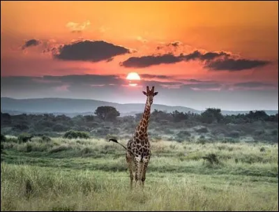 Quelle est la traduction française de la devise de ce pays ?