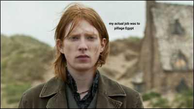Bill Weasley est un :