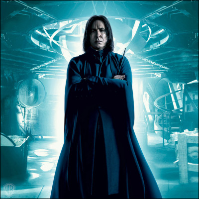 Severus Rogue est un :