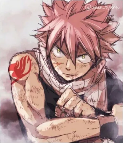 Qui est Natsu pour Happy ?