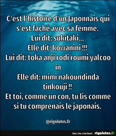 Si vous ne comprenez rien, ce n'est pas grave, surtout ...
