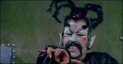 En 1974.Howard Ziehm et Michael Benveniste s'amusent en tournant un film de science-fiction parodique et érotique : victimes du terrifiant ''sex ray'' du diabolique empereur Wang, les humains s'adonnent à de folles bacchanales. Le héros va traquer le ''méchant'' à travers la galaxie. Cet ouvrage amusant et très kitch se nomme...